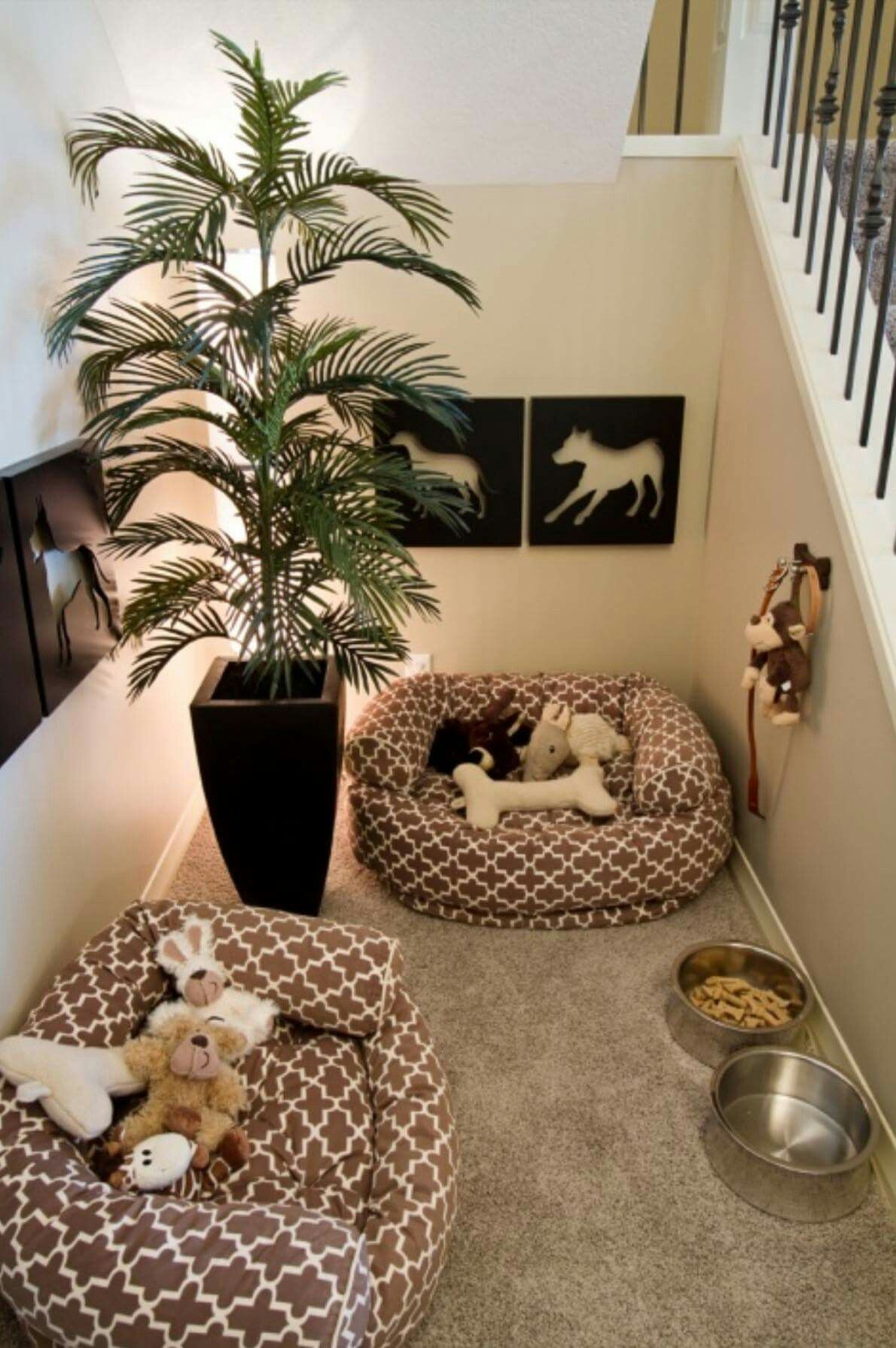 A Pet Zone for Your Furry Love 